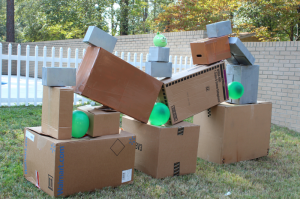 Angry Birds Birthday Party