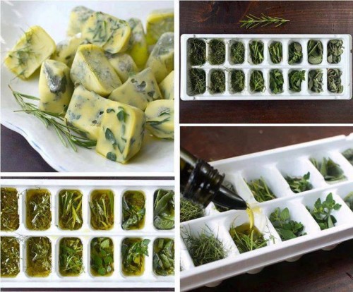 Freeze & Preserve Herbs