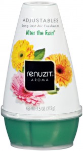 renuzit after rain revised.jpg