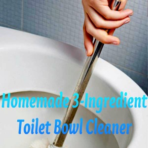 homemade-cleaning-recipe-toilet-bowl