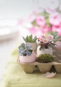 From Better Homes & Gardens